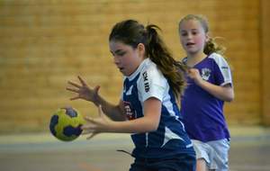 5b76e350009a6_dsc01702oo5e5w.jpg