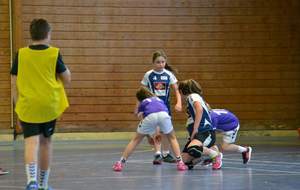 5b76e35208b6f_dsc01752oo5eb1.jpg