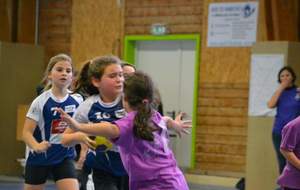 5b818c5727484_dsc01093oglnac.jpg